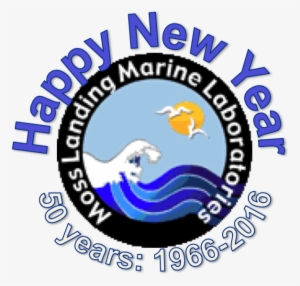 Com Happy New Year 2015 By Beautifulsunny On Deviantart - Moss Landing Marine Laboratories #2810565