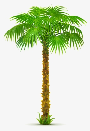 Palm Tree Clip Art PNG, Transparent Palm Tree Clip Art PNG Image Free ...