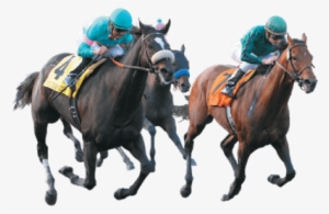Horse Racing Png Transparent #2811279