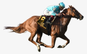 Uni Wins The G2 Sands Point Stakes - Ride A Horse Png #2811375