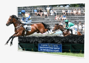 Out Of Bounds Fair Hill Horse Racing - Best Out Of Bounds #2811579