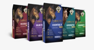 Nutrition Selector - Flyer #2811581