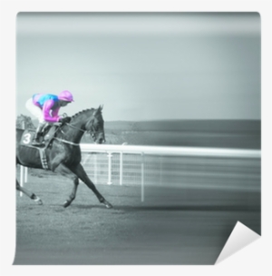 Stallion #2811606 Stallion #2811606