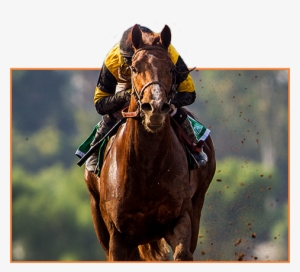 One Liner - One-line Joke #2811778