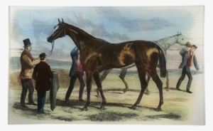 Governess - Print 1858 Horse Fitzroland Governess Thousand Stakes #2811859 Governess - Print 1858 Horse Fitzroland Governess Thousand Stakes #2811859