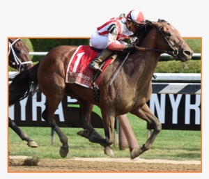 Practical Joke #2811966