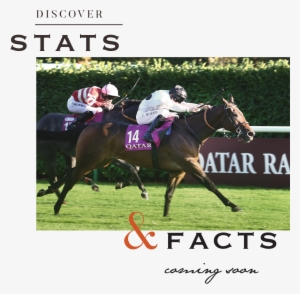 3 - Circuit De Spa-francorchamps #2811983