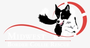 Midwest Border Collie Rescue Midwest Border Collie - Border Collie #2812087