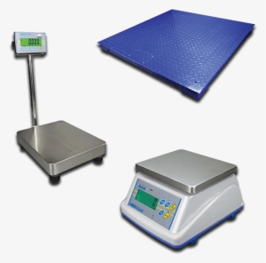 Legal For Trade Scales - Adam Equipment Wbw 6am 6 Lb Wash Down Scale Capacity #2812247