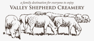 No, We Have No Shepherds In The Family What We Do Now - La Violence De L'humanisme #2813302