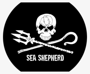 Sea Shepherd #2813353