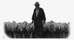 Shepherd Sheep 10 - Shepherd And Sheep #2813510