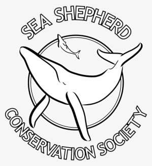 Sea Shepherd Conservation Society #2813538