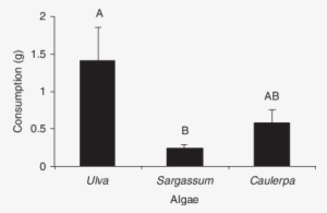 Number Of Bite Marks Against The Number Of Crinodus - Common Fig #2813891
