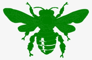 How To Set Use Green Bee Icon Png - Bee Stencil #2814051