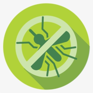 Insect Bites And Stings #2814195