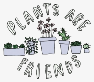 Plant Drawing Tumblr Plants Are Friends Not Food - Plants Are Friends #2815758