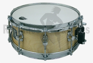 Sonor S Class Concert Maple Snare Drum - Drums #2816148