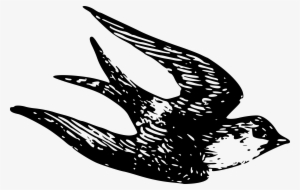 Sparrow Clipart Vintage - Sparrow Art #2816876