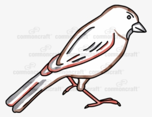 Sparrow Bird - Bird #2817165