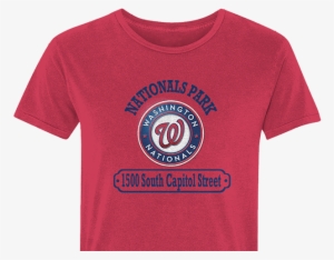 Washington Nationals - Washington Nationals Dog Pet Premium Baseball Jersey #2817776