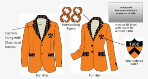 Princeton University Reunions #2817900