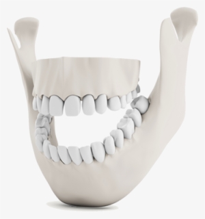 Illustrated Full Mouth Reconstruction In Austin Tx - Tmj Treatment #2818447