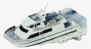 Whale Watching California, Santa Barbara Condor Express - Condor Express Whale Watching Coupons #2818493