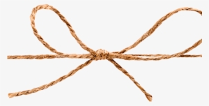 Bow-640x380 - Stock Photography #2818629