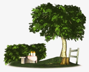 Scenic,picnic Park Design,3d Render,summer,grassy Slope,tree - Gambar Taman Png #2819862