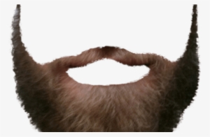 Beard Transparent Png Pictures Free Icons And Png - Portable Network Graphics #2820437