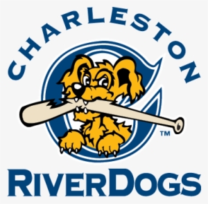 The Charleston Riverdogs Are A Class A Minor League - River Dogs Baseball Team #2820842