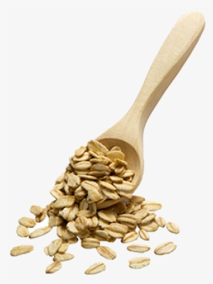 Organic Oat Flakes - Sunflower Seed #2820957