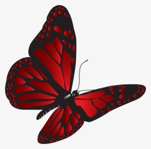 Red Butterfly Png #2822476