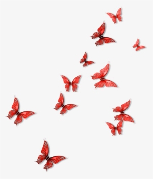 Red Butterfly Png Picture - Red Butterflies Png #2822873