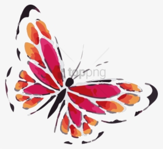 Butterfly Png Transparent Butterfly Png Image Free Download Page 4 Pngkey - butterfly crop top roblox template