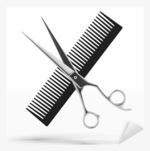 Dicesare By Michael Dicesare: Shampoo Brush #2823882 Dicesare By Michael Dicesare: Shampoo Brush #2823882