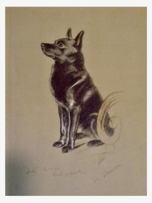1930's-1940's Lucy Dawson, Schipperke Named Peter Framed - Schipperke In Art #2824783