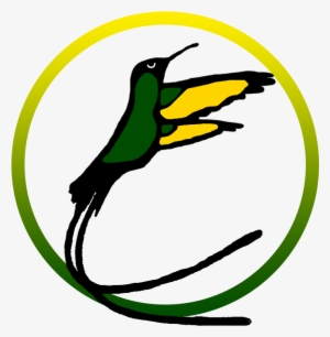 Jamaican Hummingbird Logo #2827408