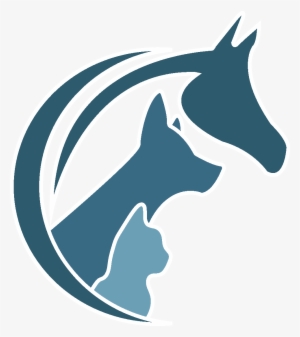 Veterinary Physician #2828541