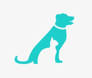 Pet Insurance Png #2828622