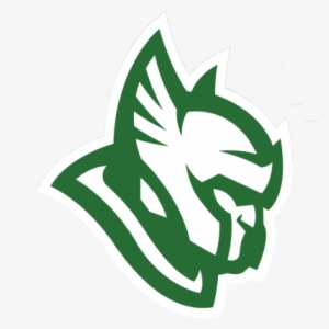 Heroic - Cs Go Green Teams #2828651