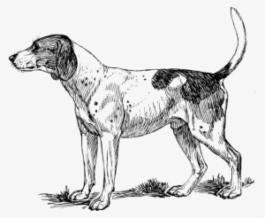 How To Set Use Hound Dog Svg Vector #2829078