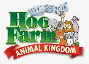 Big Cats Twitter - Meerkat Experience Hoo Farm #2829274