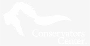 Striking African Lion Cub Tooth Replica Pendant #2829313