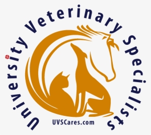 Veterinary Excellence - Vector Graphics #2829316