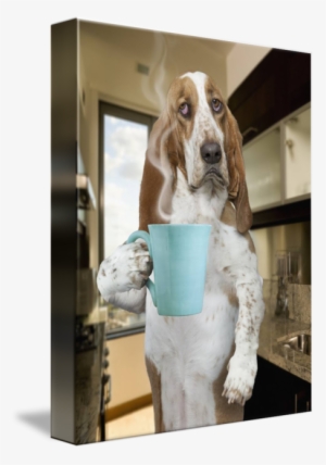 "morning Coffee Basset Hound" By John Lund, - Basset Hounds And Coffee #2829417