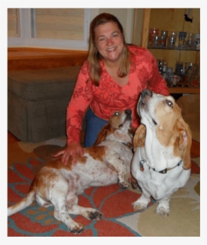 Elisa Skop - Cocker Spaniel #2829539