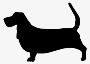 S557851569677190740 P251 I1 W640 - Frog Studio Home Basset Hound Dog Leash #2829617