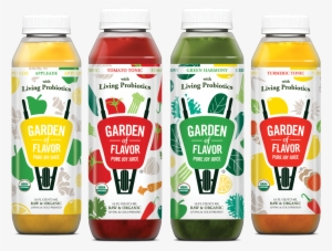 Garden Of Flavor Introduces Probiotic Cultures To Four - Garden Of Flavor #2831133